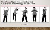 Tutorial: How Wuqinxi Qigong (Five Animals Exercise) Can Help with Pain and Energy for Older Adults